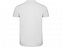 Рубашка поло Star мужская, белый с логотипом в Волгограде заказать по выгодной цене в кибермаркете AvroraStore