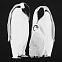 Футболка женская Like a Penguin, черная с логотипом в Волгограде заказать по выгодной цене в кибермаркете AvroraStore