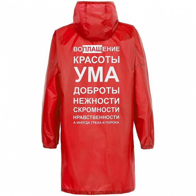 Дождевик «Воплащение всего», красный с логотипом в Волгограде заказать по выгодной цене в кибермаркете AvroraStore