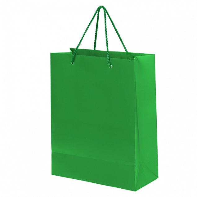 Пакет подарочный BIG GLAM с логотипом в Волгограде заказать по выгодной цене в кибермаркете AvroraStore