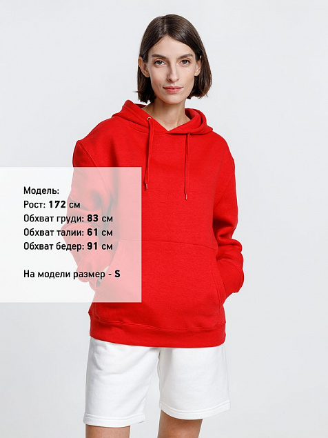 Худи унисекс Phoenix, красное с логотипом в Волгограде заказать по выгодной цене в кибермаркете AvroraStore