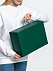 Коробка Big Case, зеленая с логотипом в Волгограде заказать по выгодной цене в кибермаркете AvroraStore
