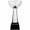 Кубок Cupture, малый с логотипом в Волгограде заказать по выгодной цене в кибермаркете AvroraStore