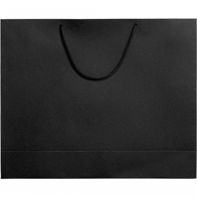 Пакет Ample L, черный с логотипом в Волгограде заказать по выгодной цене в кибермаркете AvroraStore