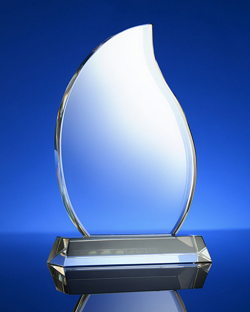 Награда Phoenix с логотипом в Волгограде заказать по выгодной цене в кибермаркете AvroraStore