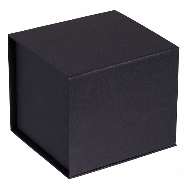 Коробка Alian, черная с логотипом в Волгограде заказать по выгодной цене в кибермаркете AvroraStore