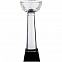 Кубок Cupture, большой с логотипом в Волгограде заказать по выгодной цене в кибермаркете AvroraStore