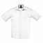 Рубашка мужская BRISTOL 105 с логотипом в Волгограде заказать по выгодной цене в кибермаркете AvroraStore