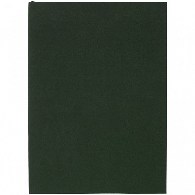 Ежедневник Flat, недатированный, зеленый с логотипом в Волгограде заказать по выгодной цене в кибермаркете AvroraStore