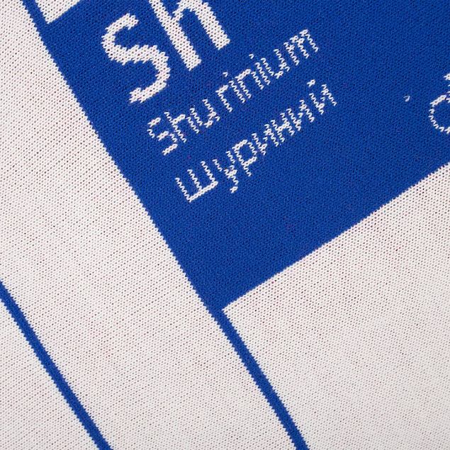 Плед «Родственные элементы» с логотипом в Волгограде заказать по выгодной цене в кибермаркете AvroraStore