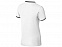 Рубашка поло "Erie" мужская с логотипом в Волгограде заказать по выгодной цене в кибермаркете AvroraStore