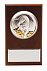 Плакетка малая «Тигр на монетах» с возможностью персонализации с логотипом в Волгограде заказать по выгодной цене в кибермаркете AvroraStore
