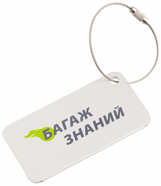 Бирка для багажа Aluminum с логотипом в Волгограде заказать по выгодной цене в кибермаркете AvroraStore