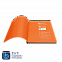 Ежедневник Bplanner.01 orange (оранжевый) с логотипом в Волгограде заказать по выгодной цене в кибермаркете AvroraStore