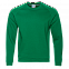 Толстовка StanSweatshirt Зелёный с логотипом в Волгограде заказать по выгодной цене в кибермаркете AvroraStore