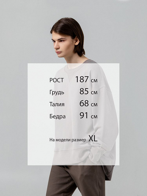 Свитшот Kosmos, серый с логотипом в Волгограде заказать по выгодной цене в кибермаркете AvroraStore