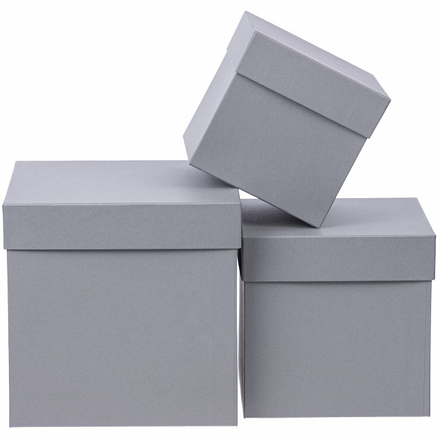 Коробка Cube L, серая с логотипом в Волгограде заказать по выгодной цене в кибермаркете AvroraStore