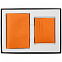 Набор Devon Mini, оранжевый с логотипом в Волгограде заказать по выгодной цене в кибермаркете AvroraStore