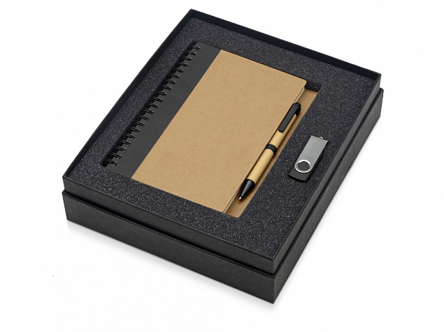 Подарочный набор Essentials с флешкой и блокнотом А5 с ручкой с логотипом в Волгограде заказать по выгодной цене в кибермаркете AvroraStore