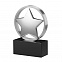 Статуэтка наградная "Звезда" с логотипом в Волгограде заказать по выгодной цене в кибермаркете AvroraStore