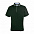 Рубашка поло мужская RODI MAN 180 с логотипом в Волгограде заказать по выгодной цене в кибермаркете AvroraStore