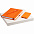Набор Favor Energy, оранжевый с логотипом в Волгограде заказать по выгодной цене в кибермаркете AvroraStore