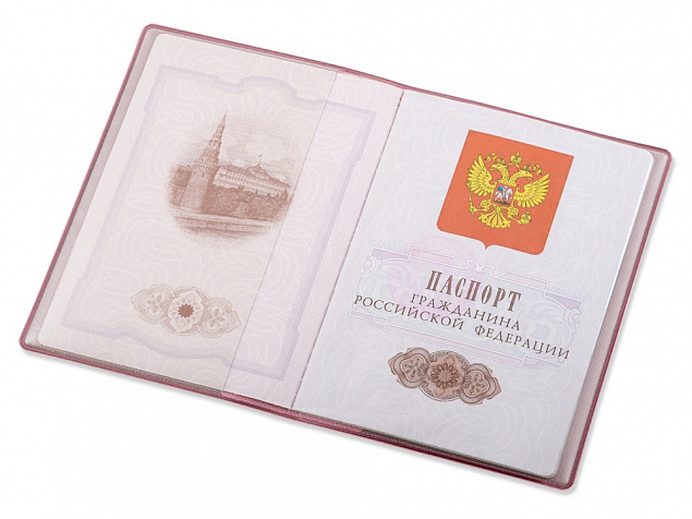 Обложка для паспорта «Favor» с логотипом в Волгограде заказать по выгодной цене в кибермаркете AvroraStore