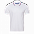 Рубашка поло Рубашка 04RUS Белый с логотипом в Волгограде заказать по выгодной цене в кибермаркете AvroraStore