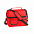 Термосумка BEMEL, красный, 25 x 24 x 15 см, полиэстер 600D с логотипом в Волгограде заказать по выгодной цене в кибермаркете AvroraStore