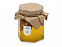 Подарочный набор «Trio honey» с логотипом в Волгограде заказать по выгодной цене в кибермаркете AvroraStore
