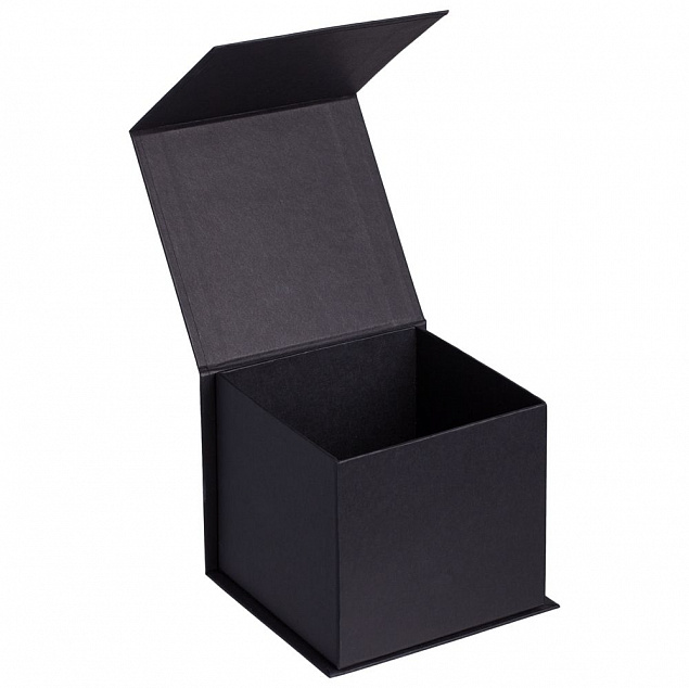 Коробка Alian, черная с логотипом в Волгограде заказать по выгодной цене в кибермаркете AvroraStore