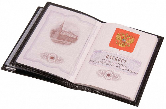Обложка для автодокументов и паспорта с логотипом в Волгограде заказать по выгодной цене в кибермаркете AvroraStore