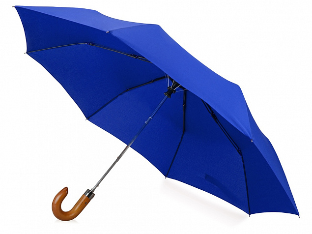 Зонт складной Cary с логотипом в Волгограде заказать по выгодной цене в кибермаркете AvroraStore