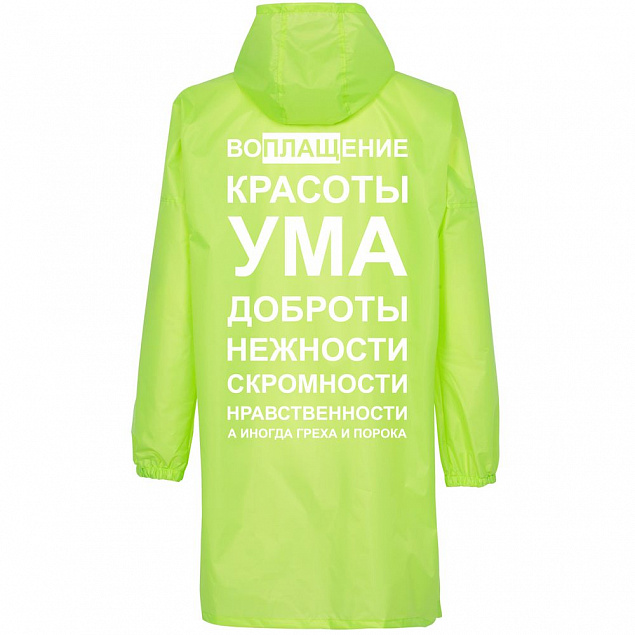 Дождевик «Воплащение всего», неоново-желтый с логотипом в Волгограде заказать по выгодной цене в кибермаркете AvroraStore