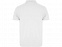 Рубашка поло Austral мужская, белый с логотипом в Волгограде заказать по выгодной цене в кибермаркете AvroraStore