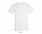 Фуфайка (футболка) REGENT мужская,Тёмно-серый/графит 4XL с логотипом в Волгограде заказать по выгодной цене в кибермаркете AvroraStore