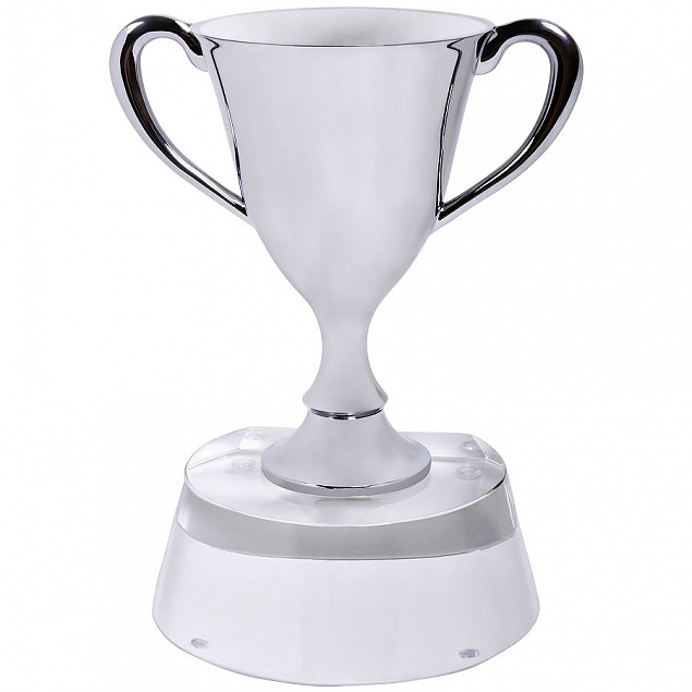 Стела  "Кубок победителя" в подарочной упаковке с логотипом в Волгограде заказать по выгодной цене в кибермаркете AvroraStore