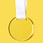 Медаль GLORY в подарочной упаковке, 70х66х5 мм, акрил с логотипом в Волгограде заказать по выгодной цене в кибермаркете AvroraStore