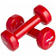 Гантель Heracles 1 кг, красная с логотипом в Волгограде заказать по выгодной цене в кибермаркете AvroraStore