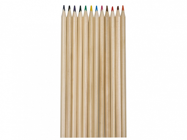 Набор из 12 трехгранных цветных карандашей «Painter» с логотипом в Волгограде заказать по выгодной цене в кибермаркете AvroraStore